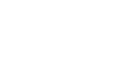Logo WhiteLionBet